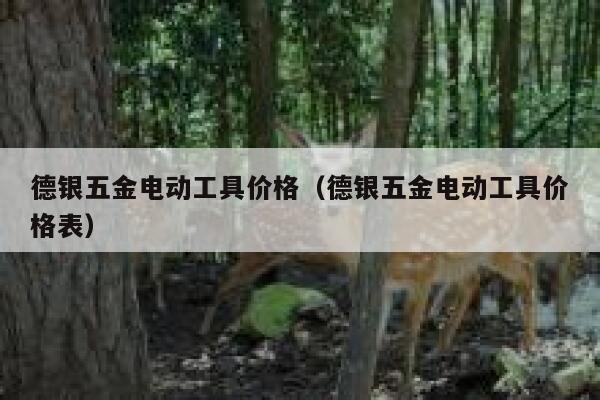 德银五金电动工具价格(德银五金电动工具价格表) 第1张 德银五金电动工具价格(德银五金电动工具价格表) 第1张