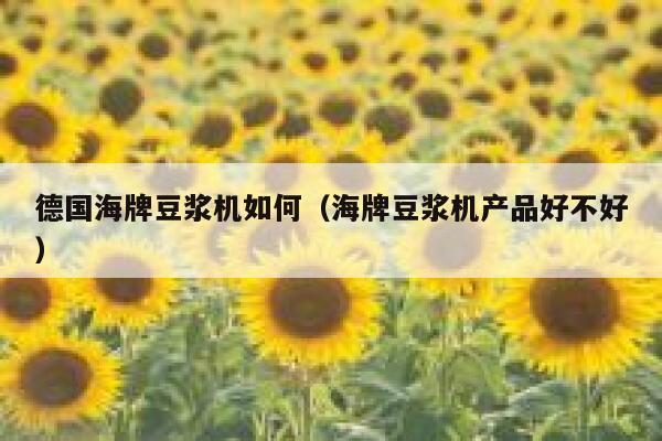 德国海牌豆浆机如何(海牌豆浆机产品好不好) 第1张 德国海牌豆浆机如何(海牌豆浆机产品好不好) 第1张
