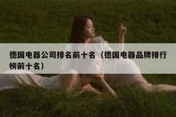 德国电器公司排名前十名（德国电器品牌排行榜前十名） 第1张