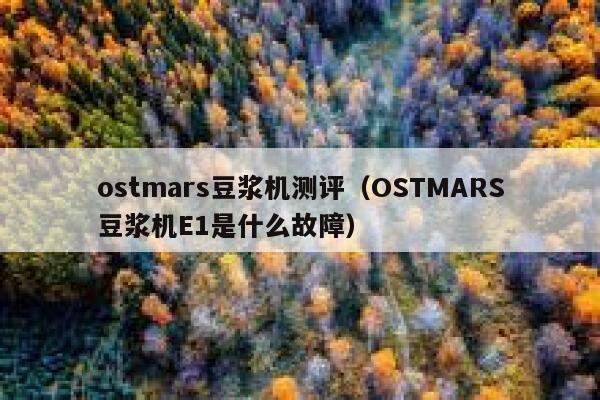 ostmars豆浆机测评（OSTMARS豆浆机E1是什么故障） 第1张