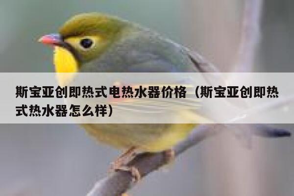 斯宝亚创即热式电热水器价格(斯宝亚创即热式热水器怎么样) 第1张 斯宝亚创即热式电热水器价格(斯宝亚创即热式热水器怎么样) 第1张