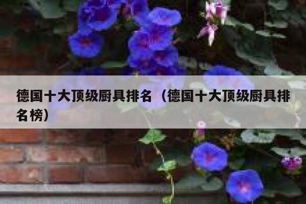 德国十大顶级厨具排名(德国十大顶级厨具排名榜) 第1张 德国十大顶级厨具排名(德国十大顶级厨具排名榜) 第1张