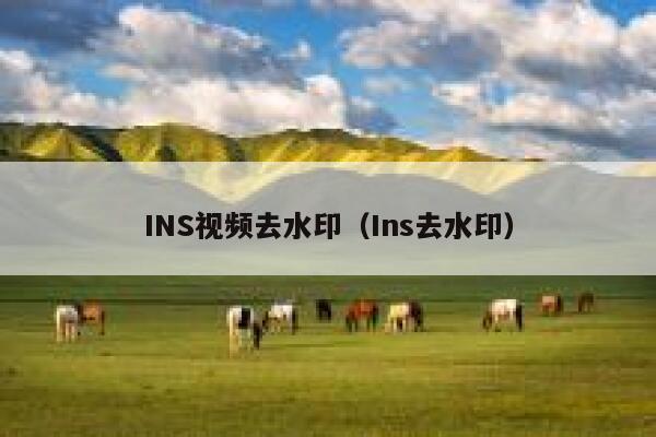 INS视频去水印(Ins去水印) 第1张 INS视频去水印(Ins去水印) 第1张