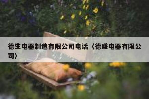 德生电器制造有限公司电话(德盛电器有限公司) 第1张 德生电器制造有限公司电话(德盛电器有限公司) 第1张