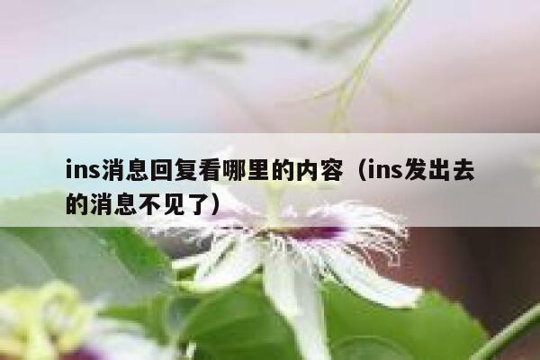 ins消息回复看哪里的内容(ins发出去的消息不见了) 第1张 ins消息回复看哪里的内容(ins发出去的消息不见了) 第1张