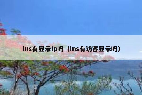 ins有显示ip吗(ins有访客显示吗) 第1张 ins有显示ip吗(ins有访客显示吗) 第1张