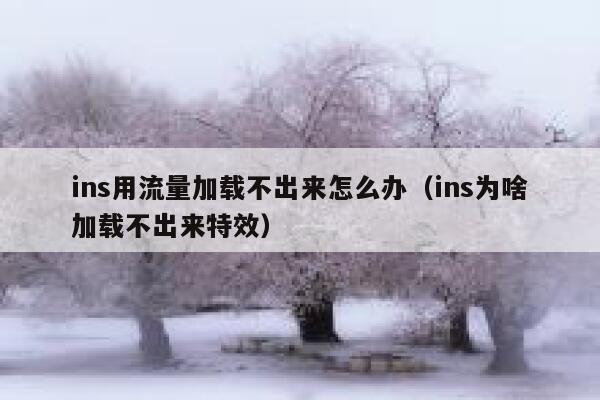 ins用流量加载不出来怎么办(ins为啥加载不出来特效) 第1张 ins用流量加载不出来怎么办(ins为啥加载不出来特效) 第1张