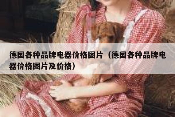德国各种品牌电器价格图片(德国各种品牌电器价格图片及价格) 第1张 德国各种品牌电器价格图片(德国各种品牌电器价格图片及价格) 第1张