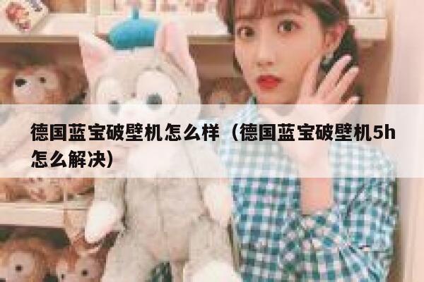 德国蓝宝破壁机怎么样(德国蓝宝破壁机5h怎么解决) 第1张 德国蓝宝破壁机怎么样(德国蓝宝破壁机5h怎么解决) 第1张