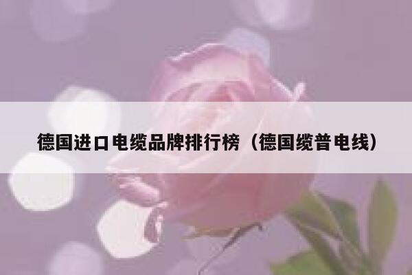 德国进口电缆品牌排行榜(德国缆普电线) 第1张 德国进口电缆品牌排行榜(德国缆普电线) 第1张