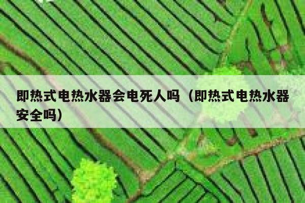 即热式电热水器会电死人吗(即热式电热水器安全吗) 第1张 即热式电热水器会电死人吗(即热式电热水器安全吗) 第1张