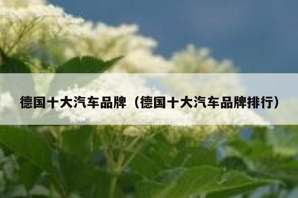 德国十大汽车品牌(德国十大汽车品牌排行) 第1张 德国十大汽车品牌(德国十大汽车品牌排行) 第1张