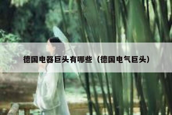 德国电器巨头有哪些(德国电气巨头) 第1张 德国电器巨头有哪些(德国电气巨头) 第1张
