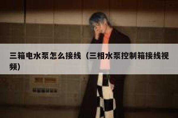 三箱电水泵怎么接线(三相水泵控制箱接线视频) 第1张 三箱电水泵怎么接线(三相水泵控制箱接线视频) 第1张