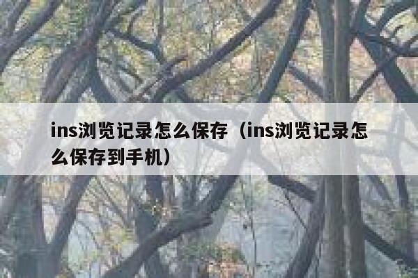 ins浏览记录怎么保存(ins浏览记录怎么保存到手机) 第1张 ins浏览记录怎么保存(ins浏览记录怎么保存到手机) 第1张