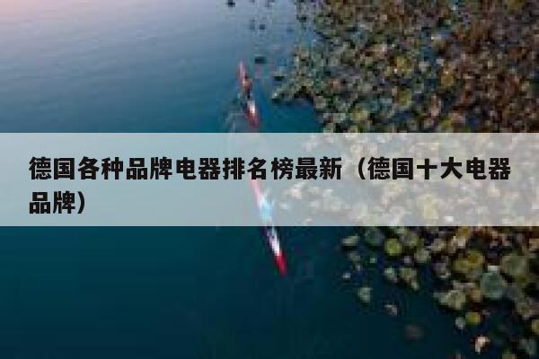 德国各种品牌电器排名榜最新（德国十大电器品牌） 第1张