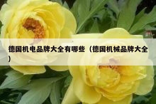 德国机电品牌大全有哪些(德国机械品牌大全) 第1张 德国机电品牌大全有哪些(德国机械品牌大全) 第1张