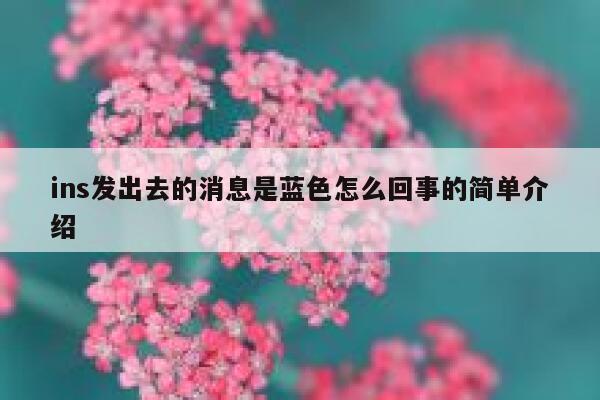ins发出去的消息是蓝色怎么回事的简单介绍 第1张 ins发出去的消息是蓝色怎么回事的简单介绍 第1张