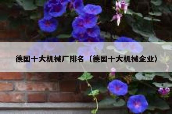德国十大机械厂排名（德国十大机械企业） 第1张