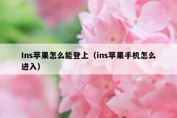 Ins苹果怎么能登上（ins苹果手机怎么进入） 第1张