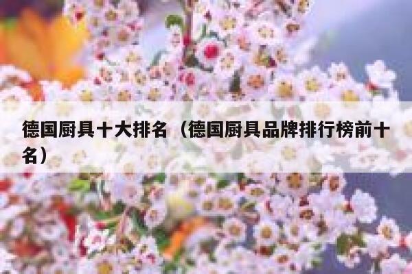 德国厨具十大排名(德国厨具品牌排行榜前十名) 第1张 德国厨具十大排名(德国厨具品牌排行榜前十名) 第1张
