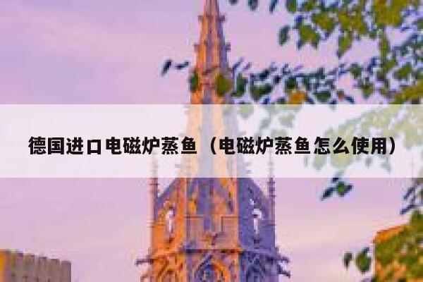 德国进口电磁炉蒸鱼(电磁炉蒸鱼怎么使用) 第1张 德国进口电磁炉蒸鱼(电磁炉蒸鱼怎么使用) 第1张