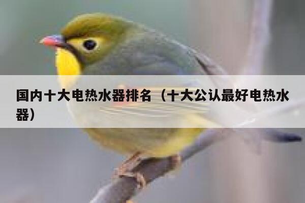 国内十大电热水器排名(十大公认最好电热水器) 第1张 国内十大电热水器排名(十大公认最好电热水器) 第1张
