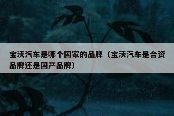 宝沃汽车是哪个国家的品牌(宝沃汽车是合资品牌还是国产品牌) 第1张 宝沃汽车是哪个国家的品牌(宝沃汽车是合资品牌还是国产品牌) 第1张