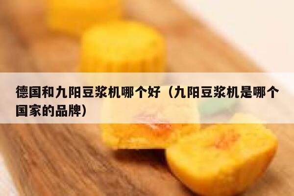 德国和九阳豆浆机哪个好(九阳豆浆机是哪个国家的品牌) 第1张 德国和九阳豆浆机哪个好(九阳豆浆机是哪个国家的品牌) 第1张