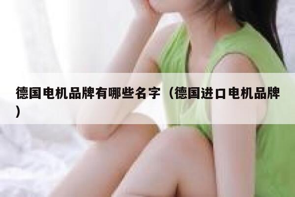 德国电机品牌有哪些名字（德国进口电机品牌） 第1张