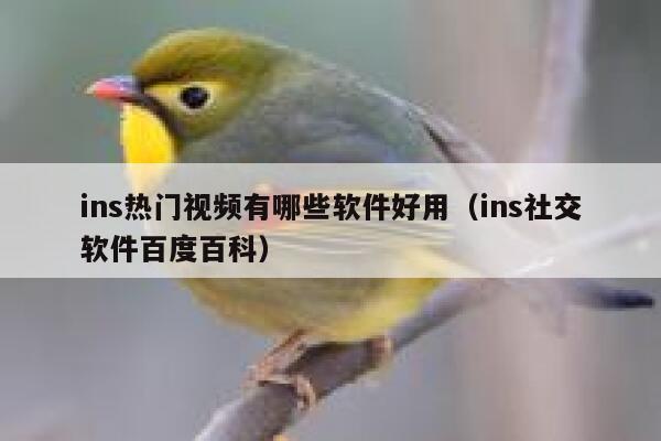 ins热门视频有哪些软件好用(ins社交软件百度百科) 第1张 ins热门视频有哪些软件好用(ins社交软件百度百科) 第1张