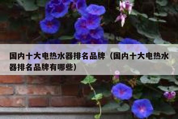 国内十大电热水器排名品牌（国内十大电热水器排名品牌有哪些） 第1张