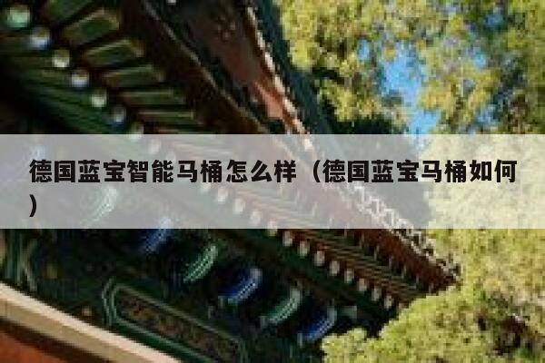 德国蓝宝智能马桶怎么样（德国蓝宝马桶如何） 第1张
