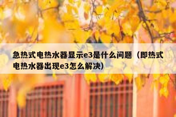 急热式电热水器显示e3是什么问题(即热式电热水器出现e3怎么解决) 第1张 急热式电热水器显示e3是什么问题(即热式电热水器出现e3怎么解决) 第1张