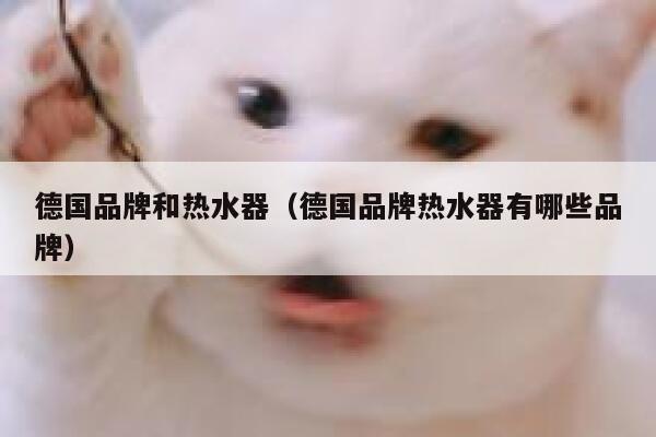 德国品牌和热水器（德国品牌热水器有哪些品牌） 第1张