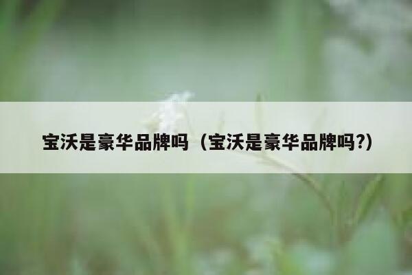 宝沃是豪华品牌吗(宝沃是豪华品牌吗?) 第1张 宝沃是豪华品牌吗(宝沃是豪华品牌吗?) 第1张
