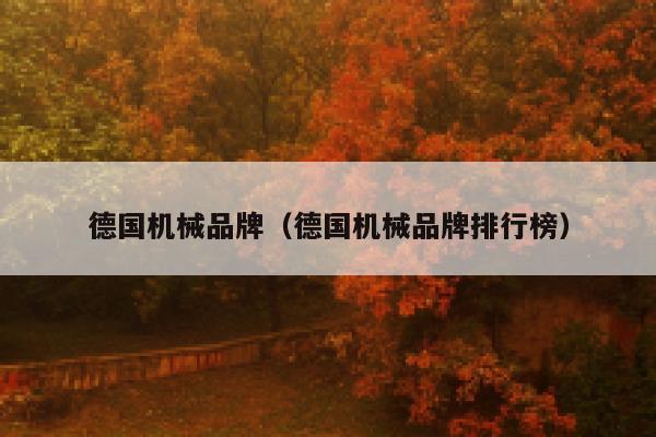 德国机械品牌（德国机械品牌排行榜） 第1张