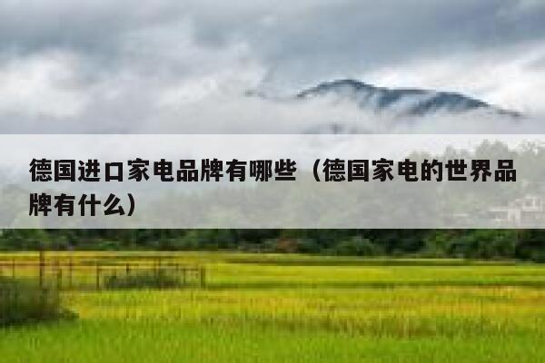 德国进口家电品牌有哪些(德国家电的世界品牌有什么) 第1张 德国进口家电品牌有哪些(德国家电的世界品牌有什么) 第1张