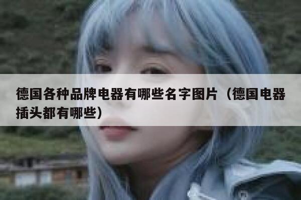 德国各种品牌电器有哪些名字图片(德国电器插头都有哪些) 第1张 德国各种品牌电器有哪些名字图片(德国电器插头都有哪些) 第1张