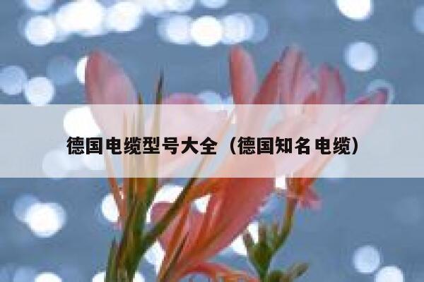 德国电缆型号大全(德国知名电缆) 第1张 德国电缆型号大全(德国知名电缆) 第1张