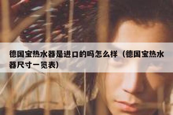 德国宝热水器是进口的吗怎么样（德国宝热水器尺寸一览表） 第1张