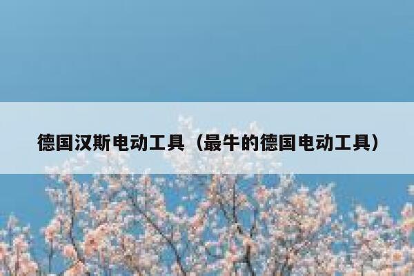 德国汉斯电动工具(最牛的德国电动工具) 第1张 德国汉斯电动工具(最牛的德国电动工具) 第1张