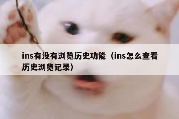 ins有没有浏览历史功能(ins怎么查看历史浏览记录) 第1张 ins有没有浏览历史功能(ins怎么查看历史浏览记录) 第1张
