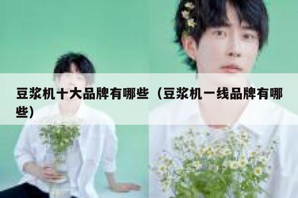豆浆机十大品牌有哪些（豆浆机一线品牌有哪些） 第1张