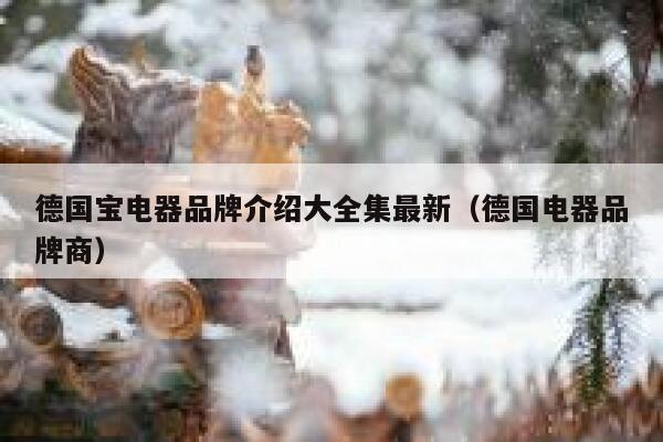 德国宝电器品牌介绍大全集最新（德国电器品牌商） 第1张