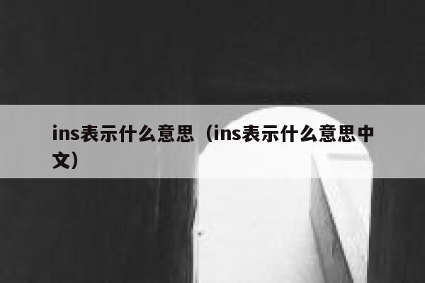 ins表示什么意思（ins表示什么意思中文） 第1张