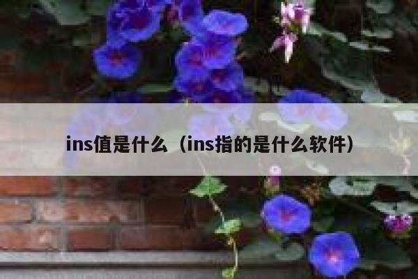ins值是什么(ins指的是什么软件) 第1张 ins值是什么(ins指的是什么软件) 第1张