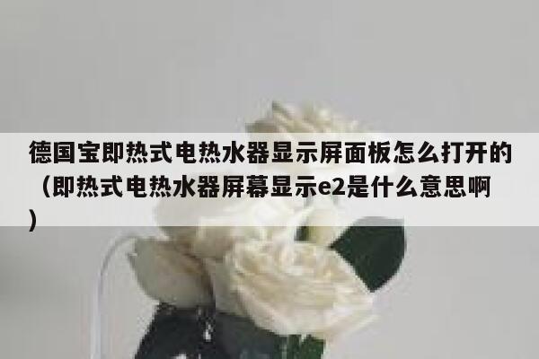 德国宝即热式电热水器显示屏面板怎么打开的(即热式电热水器屏幕显示e2是什么意思啊) 第1张 德国宝即热式电热水器显示屏面板怎么打开的(即热式电热水器屏幕显示e2是什么意思啊) 第1张