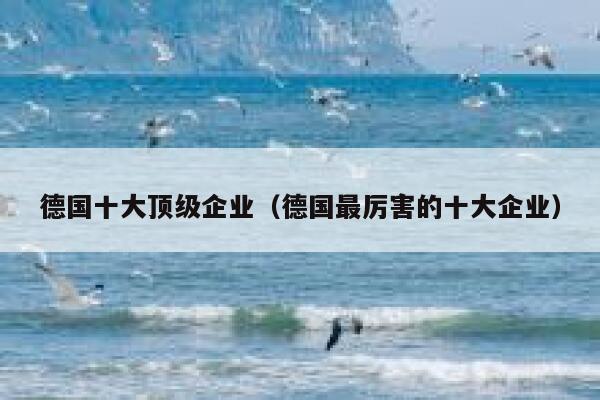 德国十大顶级企业（德国最厉害的十大企业） 第1张