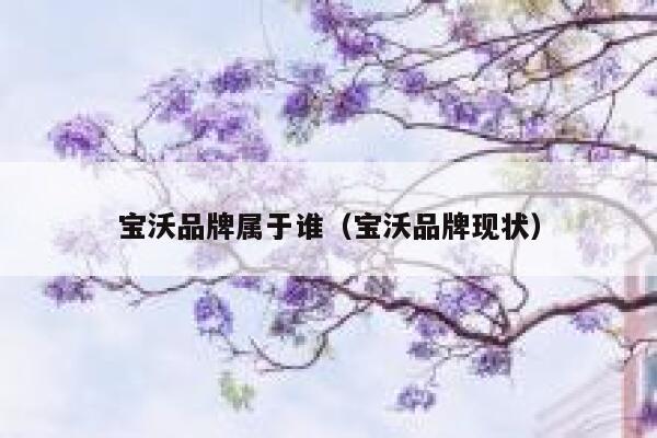 宝沃品牌属于谁(宝沃品牌现状) 第1张 宝沃品牌属于谁(宝沃品牌现状) 第1张